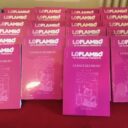 Numéro spécial du Flambò "La race qui meurt"